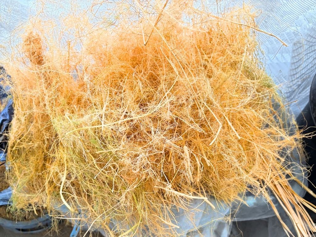 刈り取った葉はこれだけありました