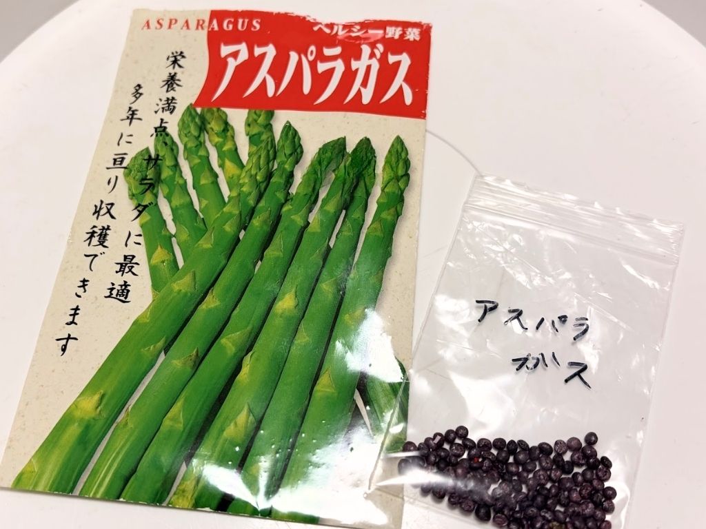 アスパラガスの種