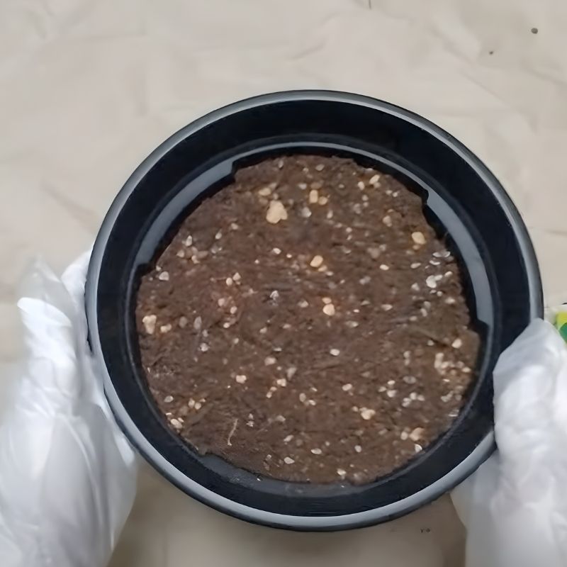 軽くトントンと落として、土をならす