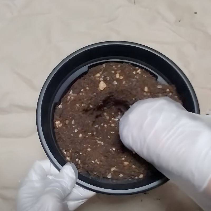 手やスコップなどで穴をあける