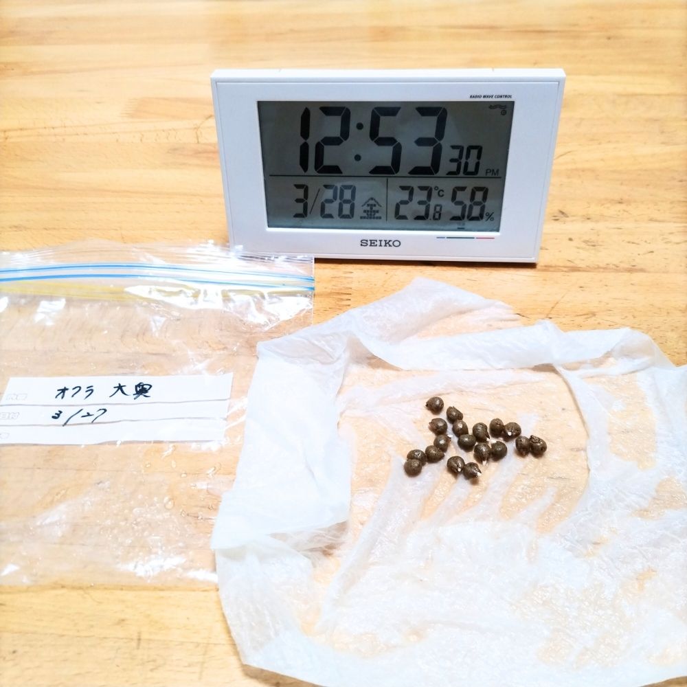 1日目の種