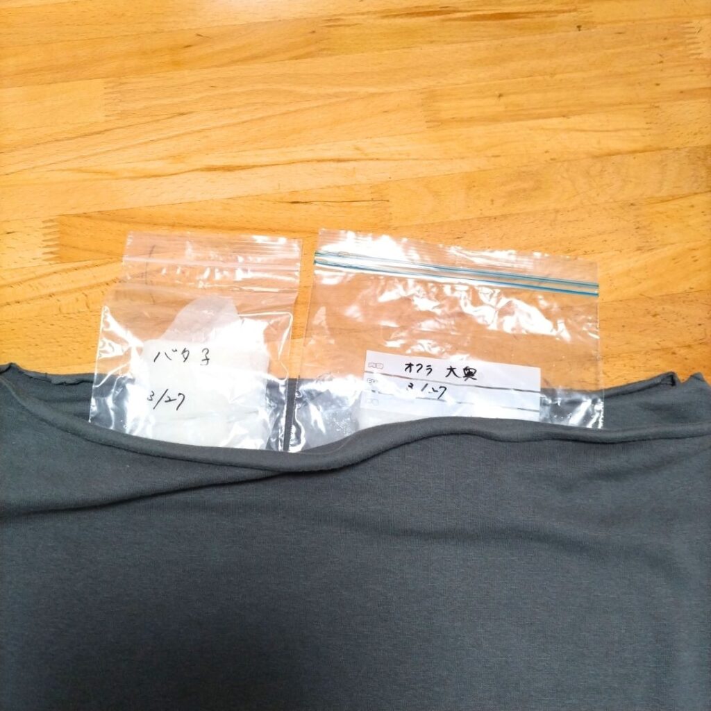 腹巻きに入れた種