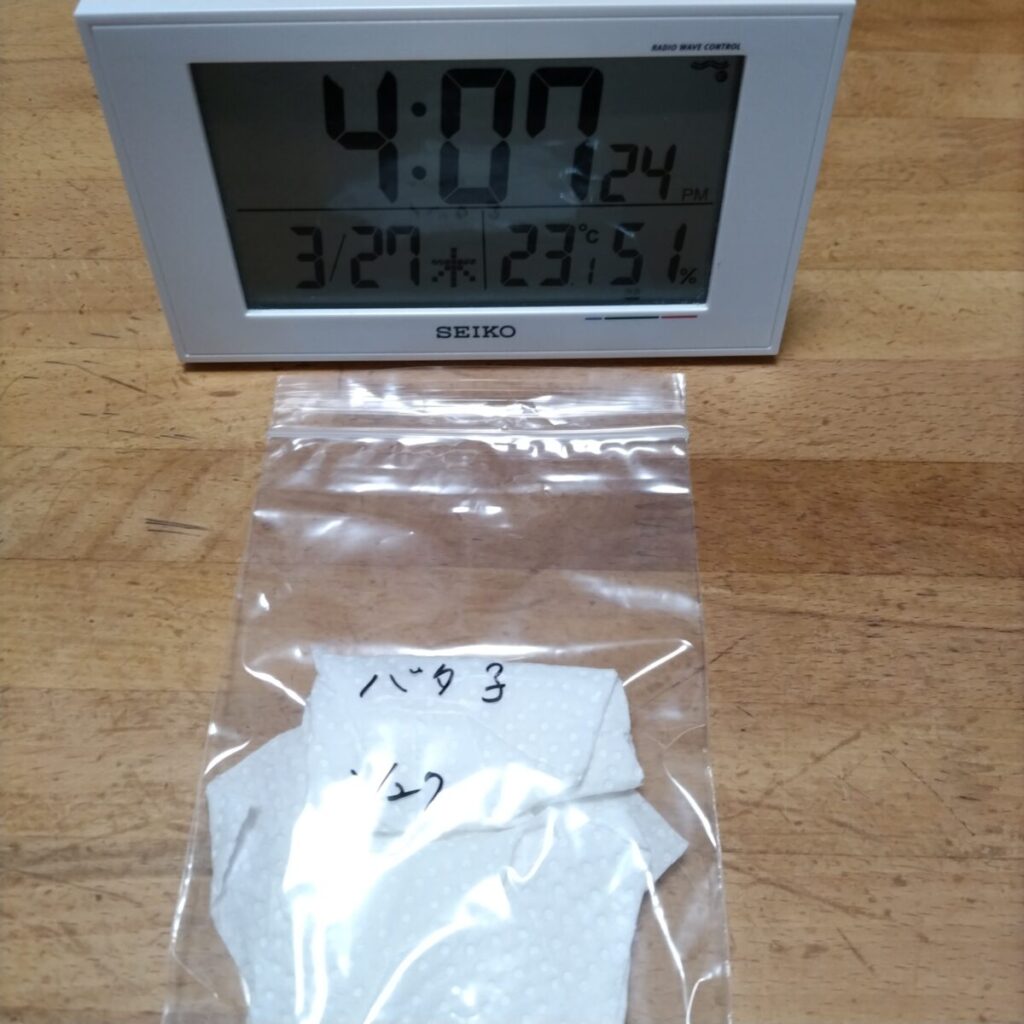 ジッパー袋に入れた種初日