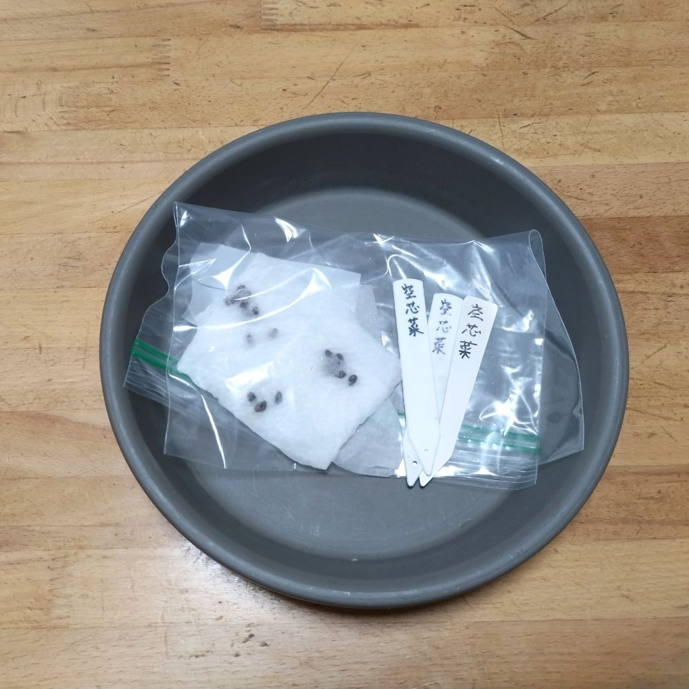 ジップ袋に入れた種