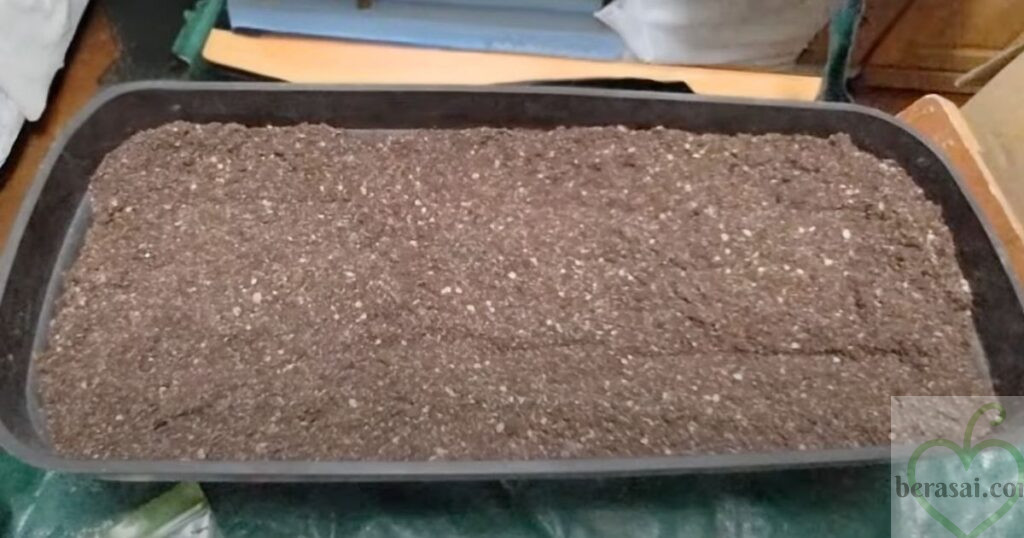 土を入れたプランター