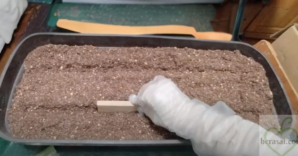 土に溝をつける