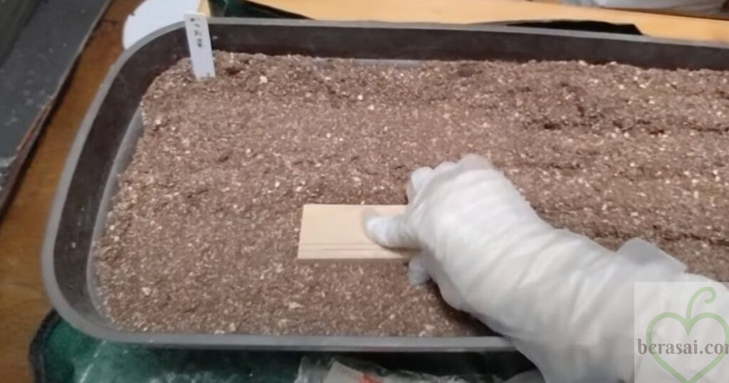 土を押さえて固める