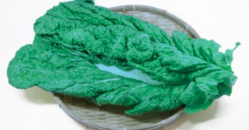 収穫したかつお菜