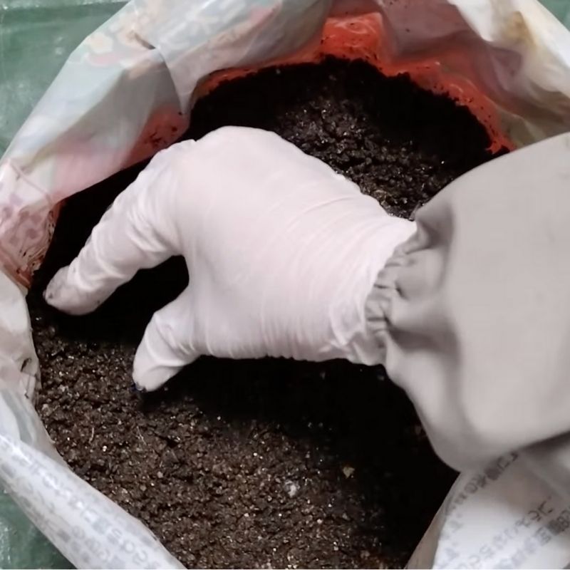 周りの土をかぶせる