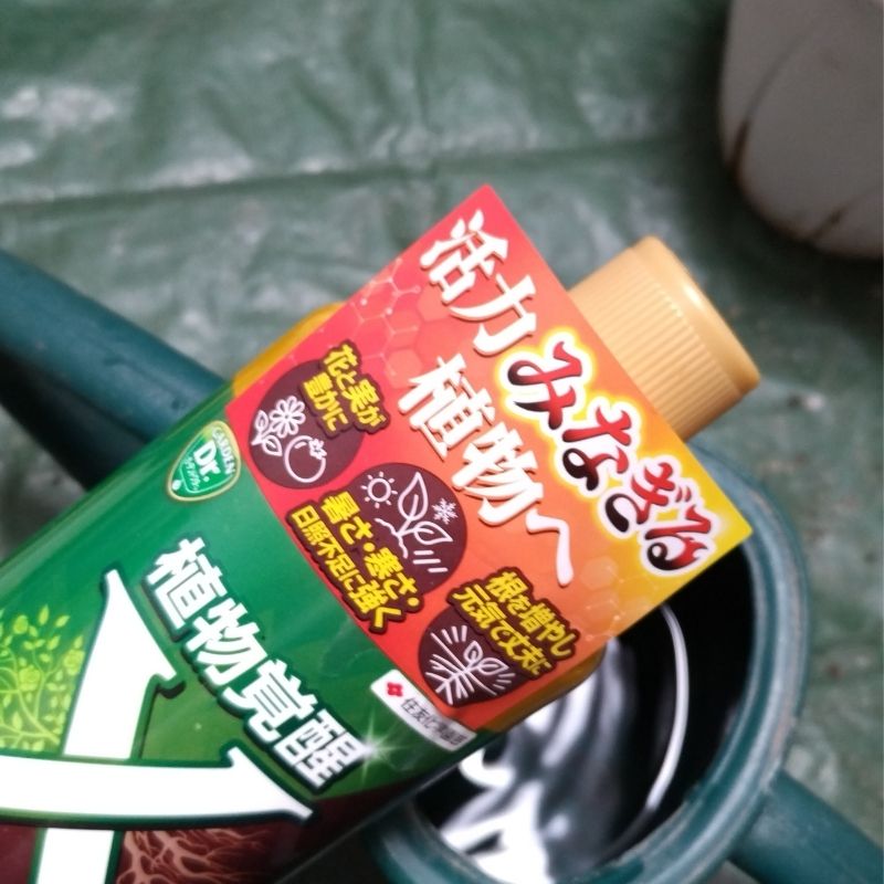 今回、活力剤も入れました