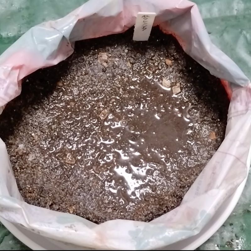 いったん水が引くのを待つ