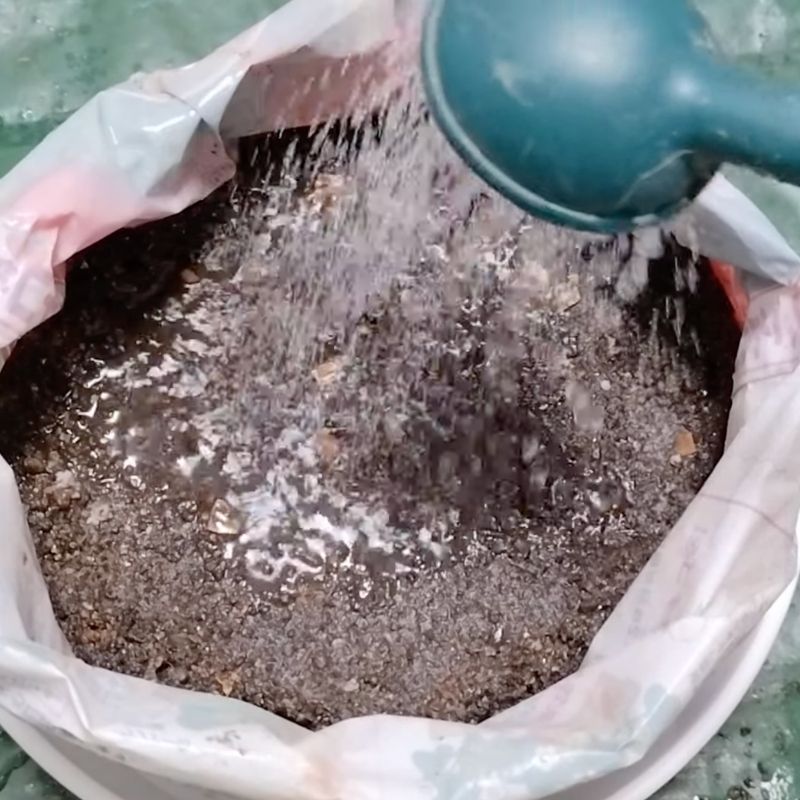 再び、水を与える