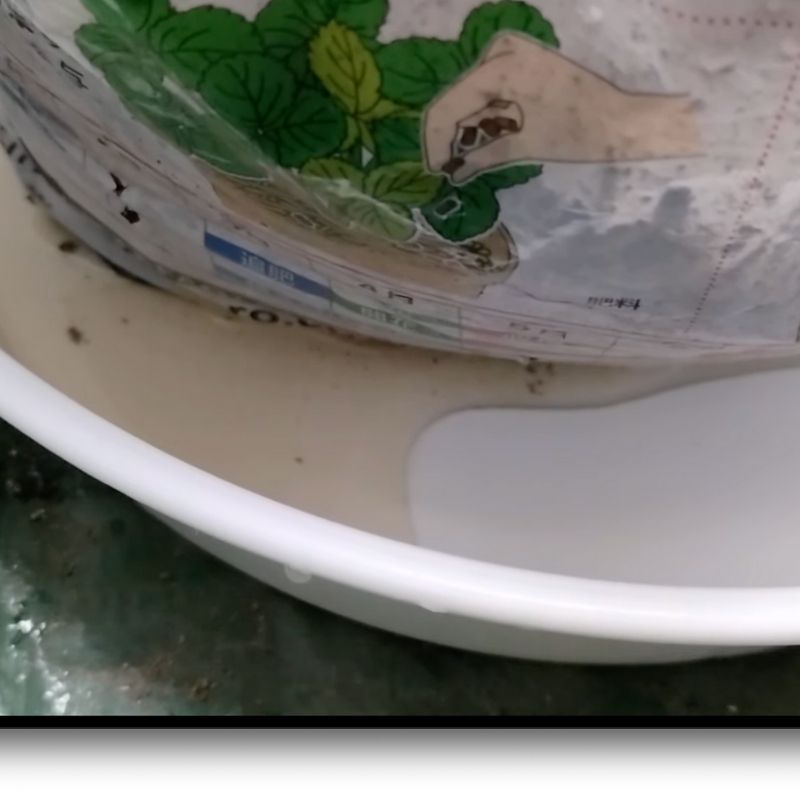 底から水が流れてくるのを確認