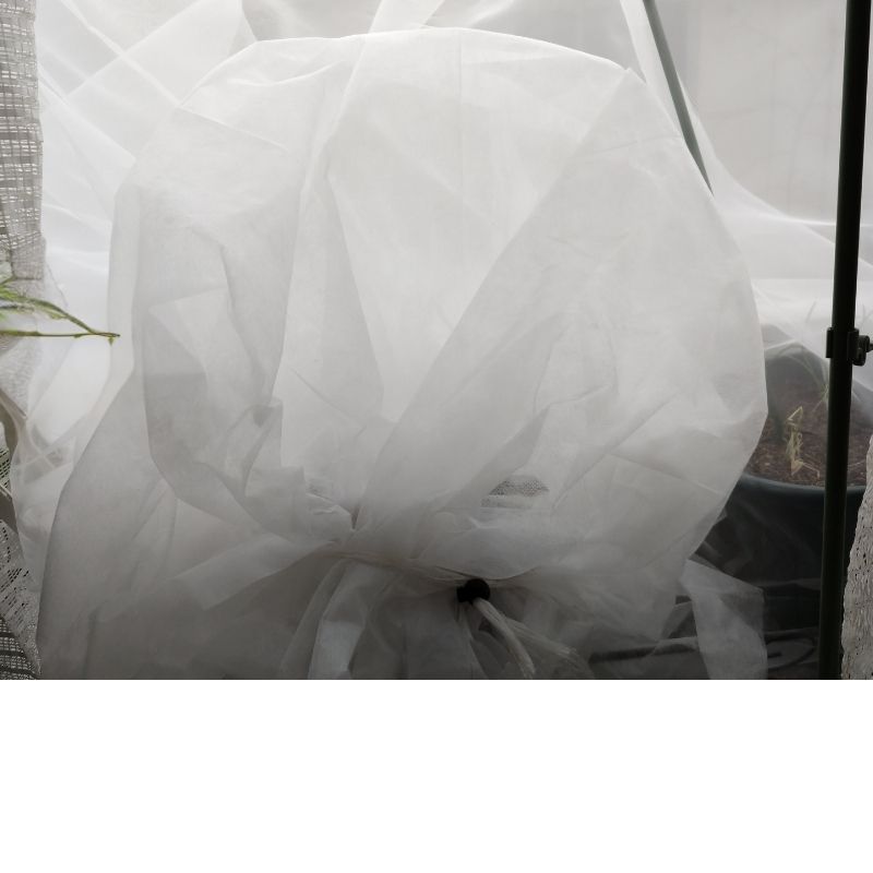 不織布でふんわりと覆う