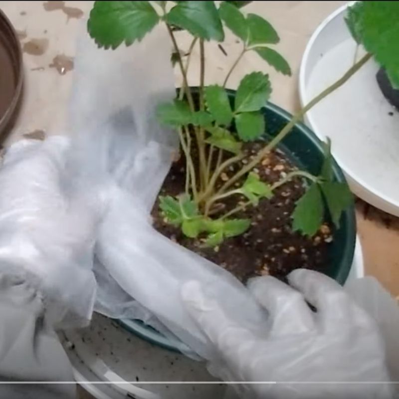 不織布をクシャッとさせる