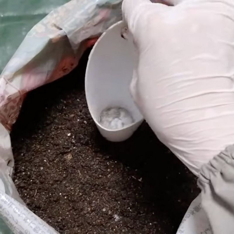 スコップの裏などを使って、土の表面を平にする