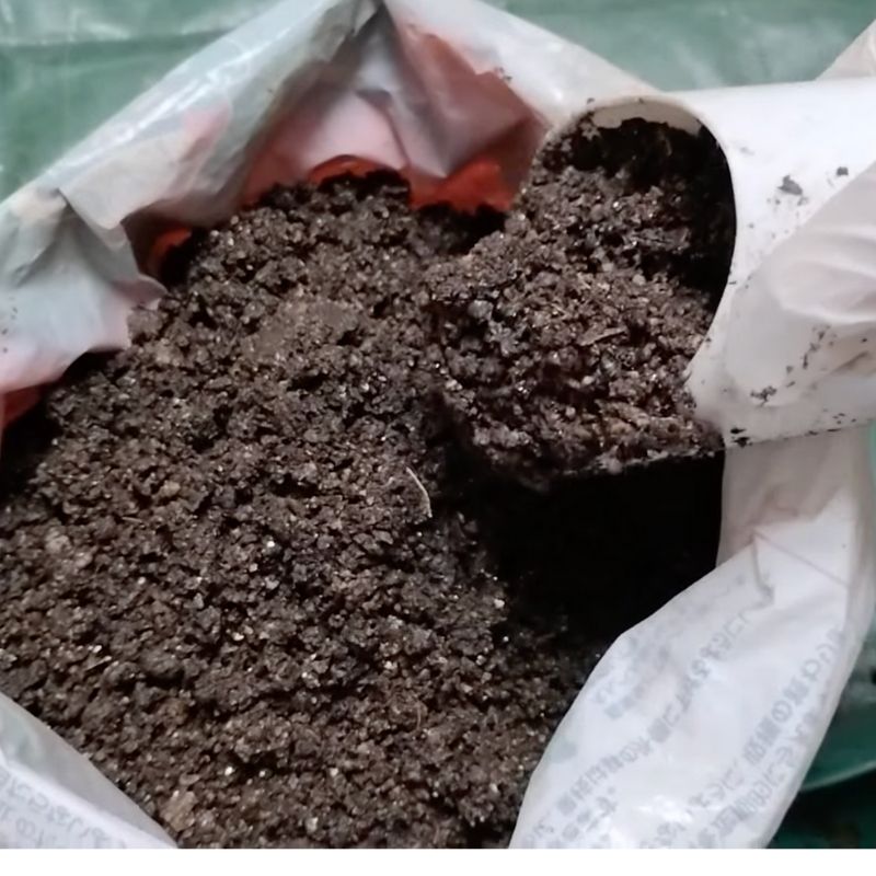 培養土を入れる