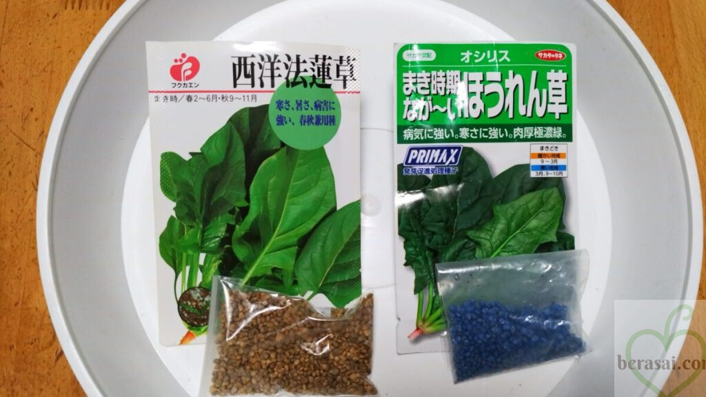 ホウレンソウの種