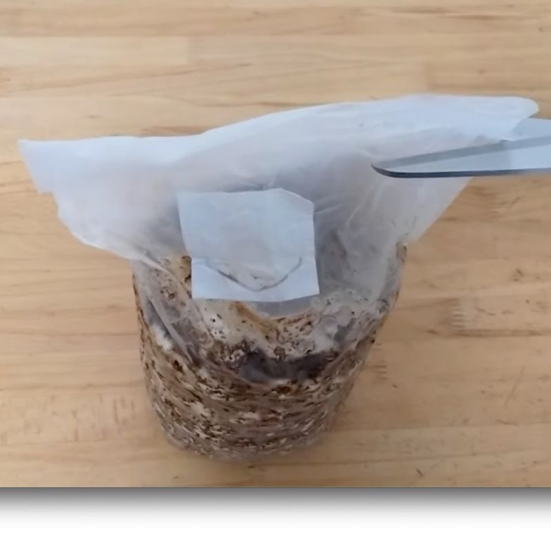 菌床が入っている袋をカット