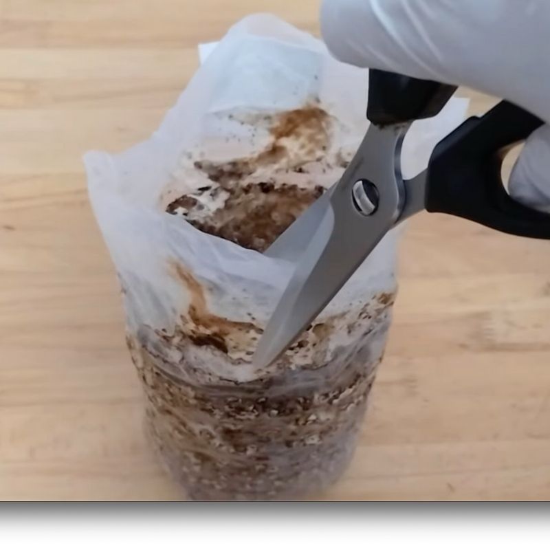 縦にもカットして開封