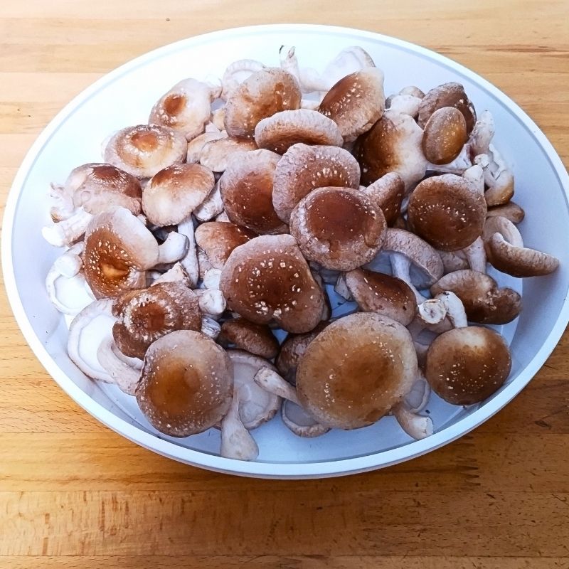 この日の収穫は74個、前日間引き分と合わせると1回目の収穫は79個でした!