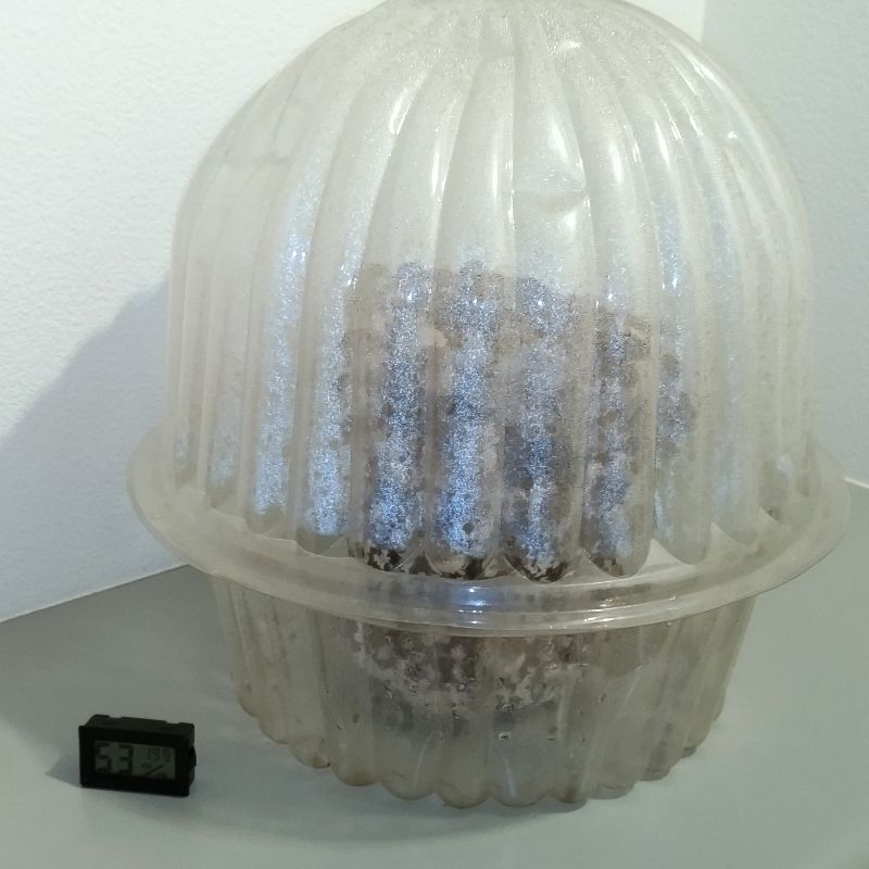 温度計と一緒に玄関に設置しました