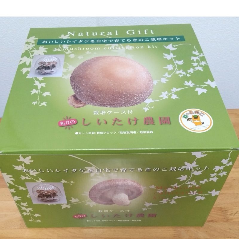 キットが入っていた箱