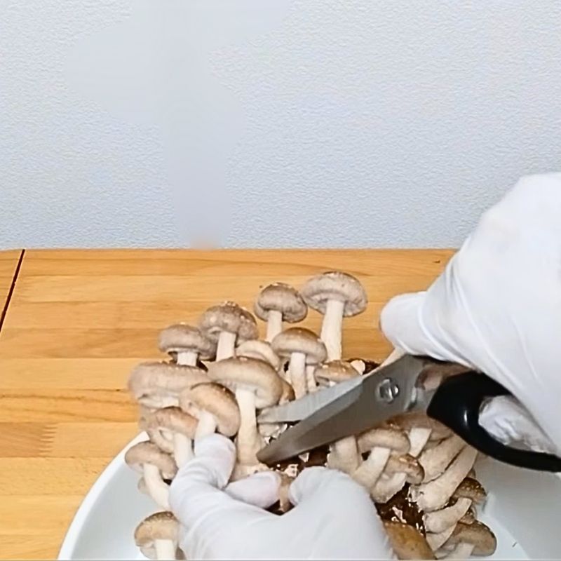 遅いですが、少し間引きをしました