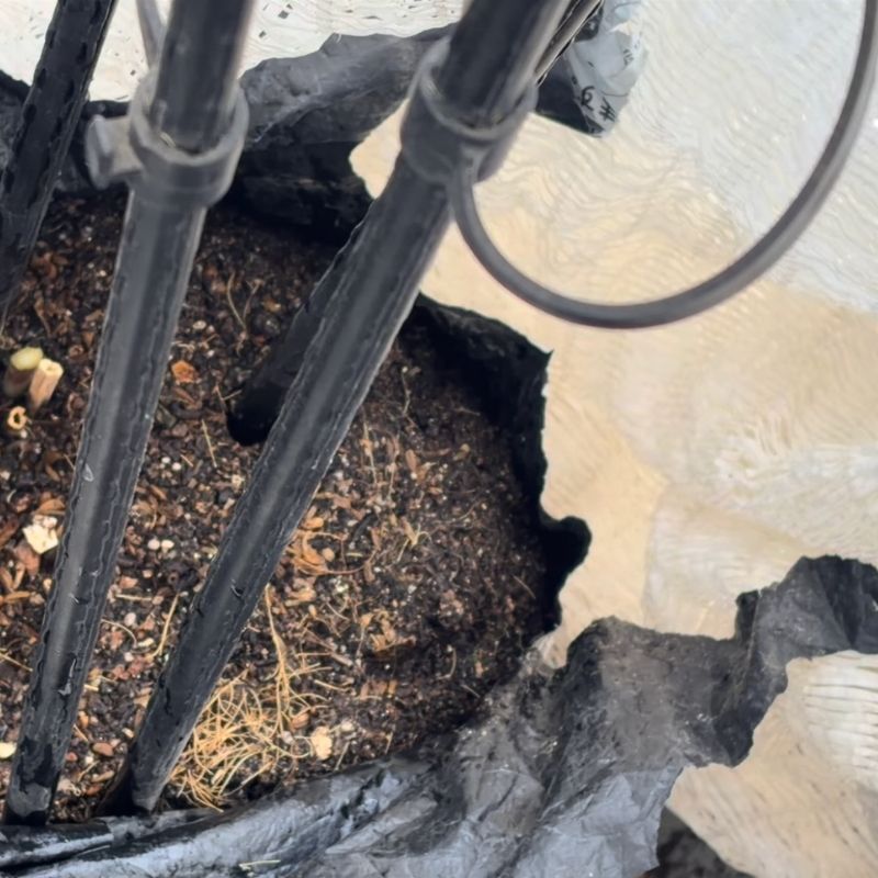 破けてしまった袋の端