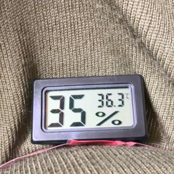 翌朝、腹巻きの中の温度