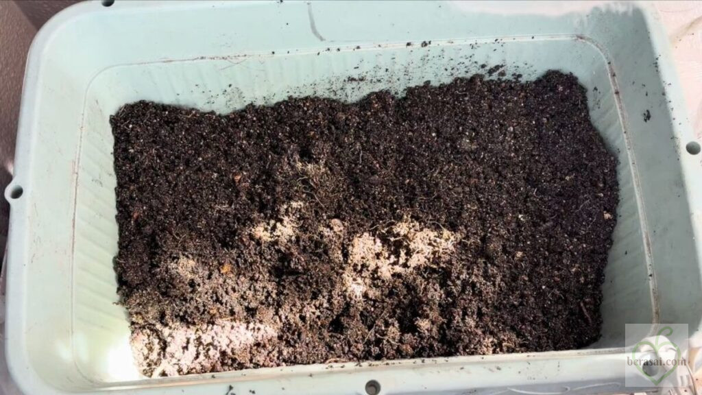 プランターの1/3に土を入れる