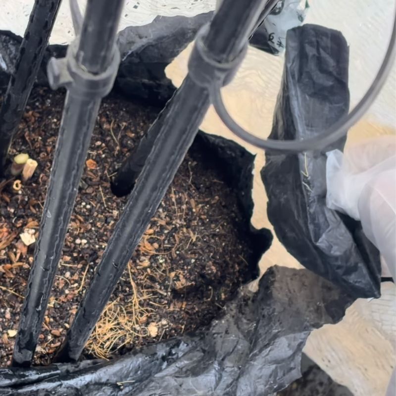 袋を引っ張ったら破けました