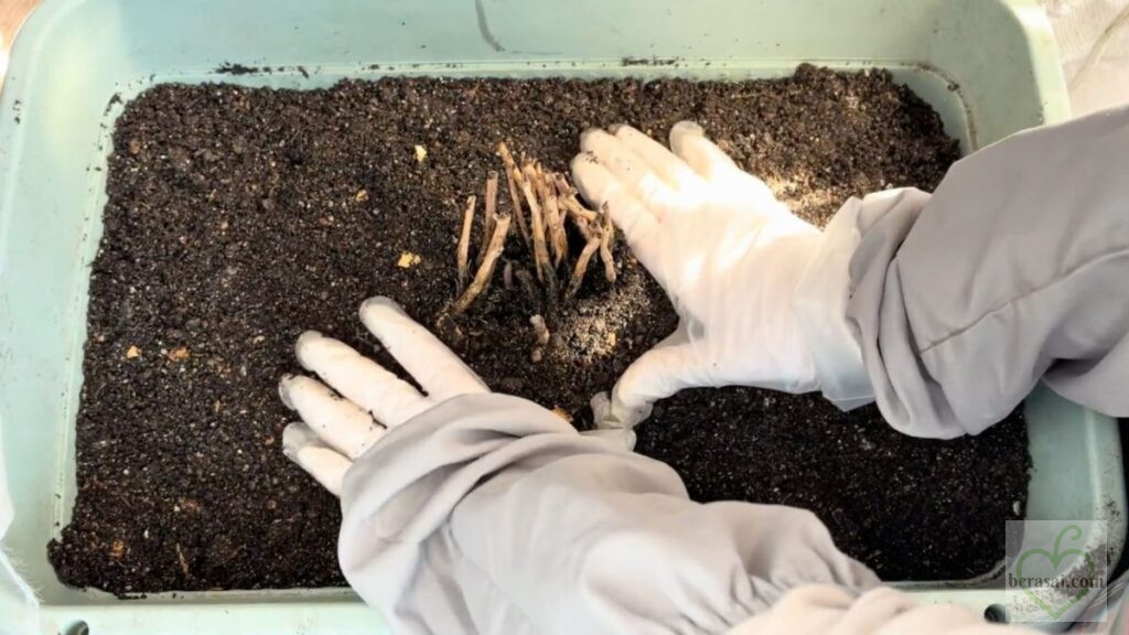 株元を押さえる