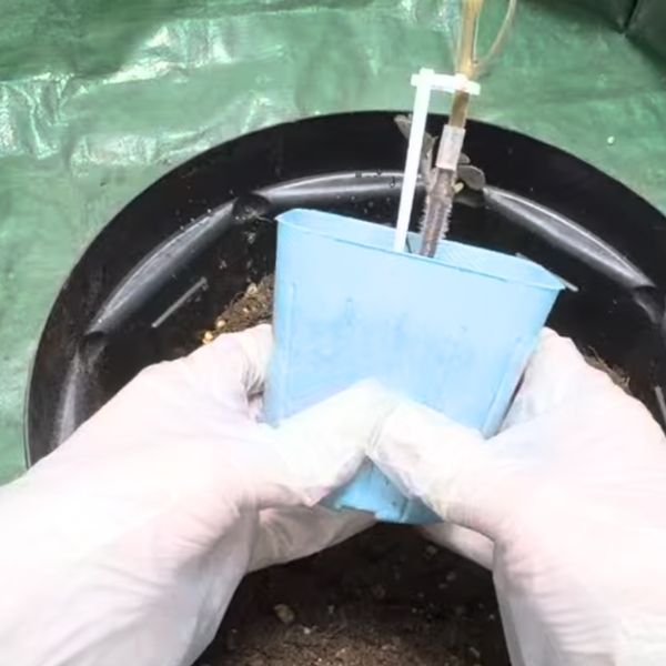 ポットの底や側面を優しく押す