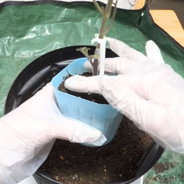 2本の指の間にはさむ