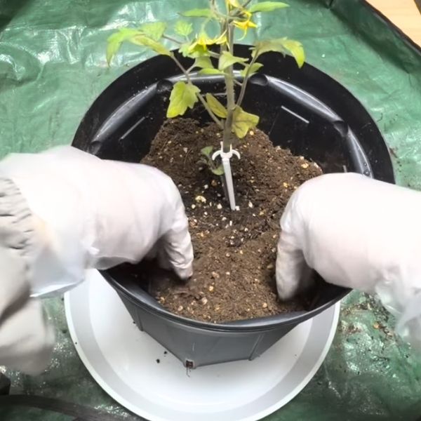 すき間が無いようにする