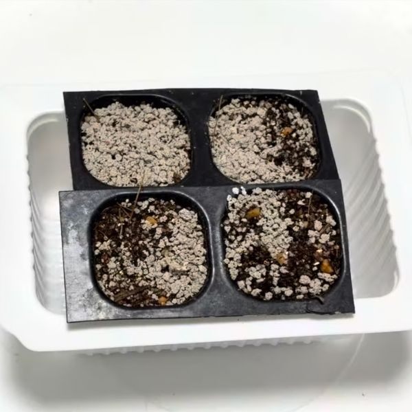 長方形の豆腐容器