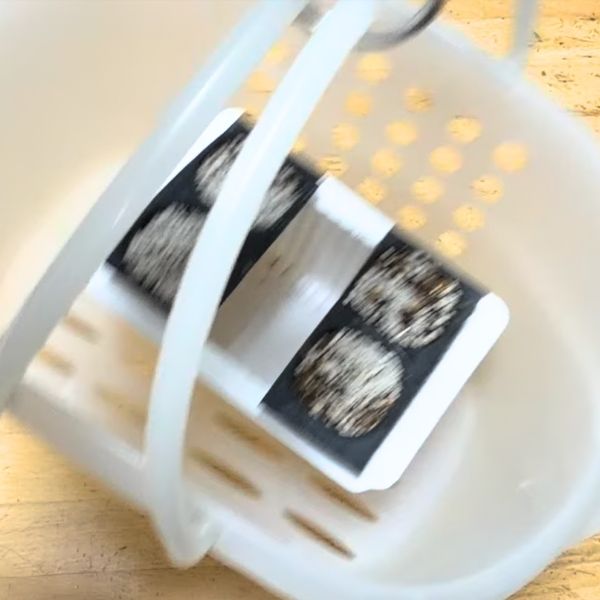 ケースに入れたセルトレー