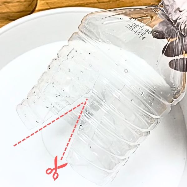 深めに切り込みを入れたペットボトル