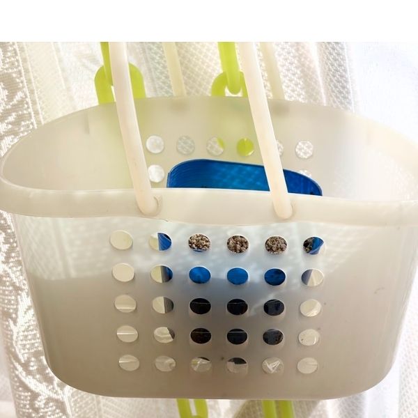 ケースに入れた育苗ポット