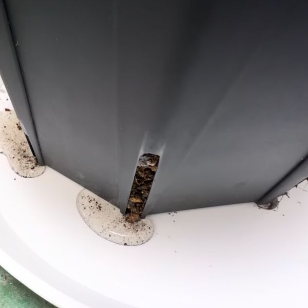 鉢底の穴から水が流れるまで