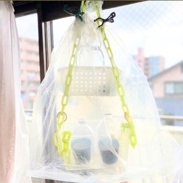 全体をビニール袋でおおい、クリップなどで止める
