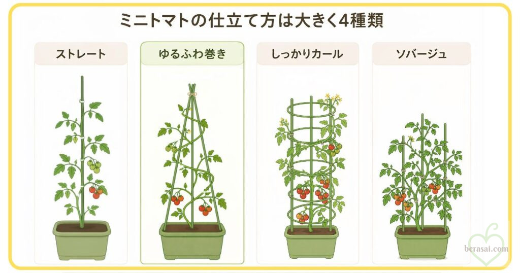 ミニトマトの仕立て方4種類