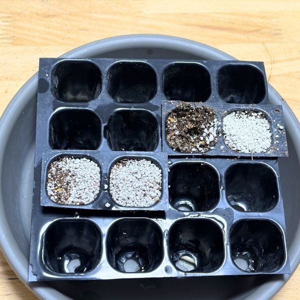 大きくカットした上に、さらにセルトレーをのせると安定