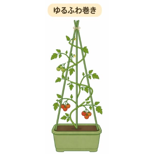 3本支柱・ゆるふわ巻き