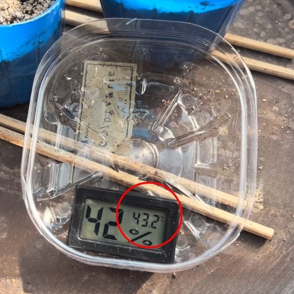 内部は40度以上になっていました