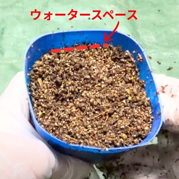 ウォータースペースを作る （水やり時に、あふれないように）