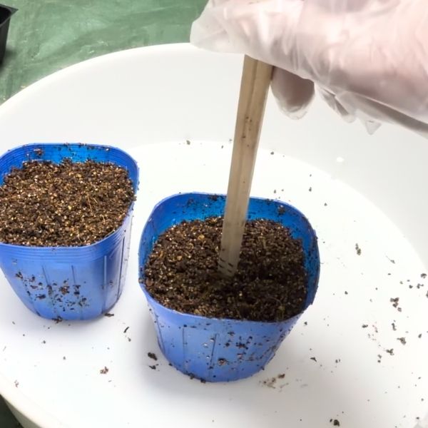 割り箸などを使って、穴をあける