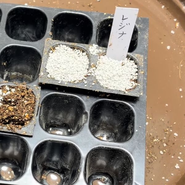 ネームプレートを立てる