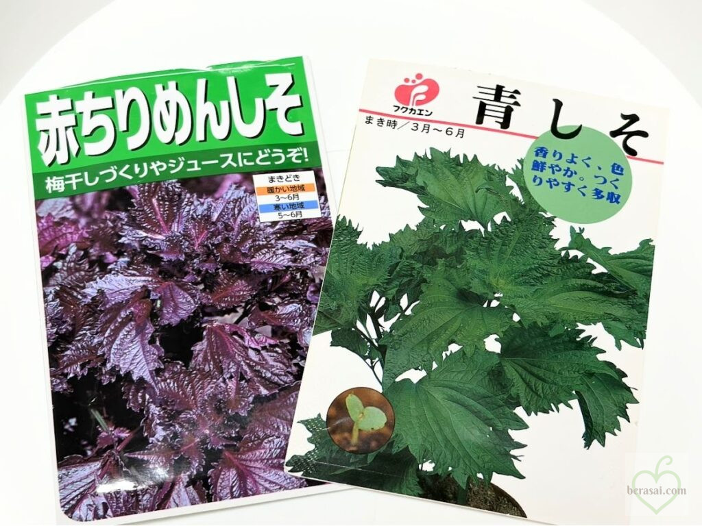 青ジソと赤ジソの種袋